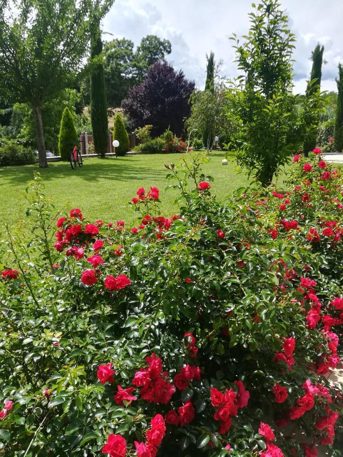 B&B Terra Del Sole Valmontone Dış mekan fotoğraf