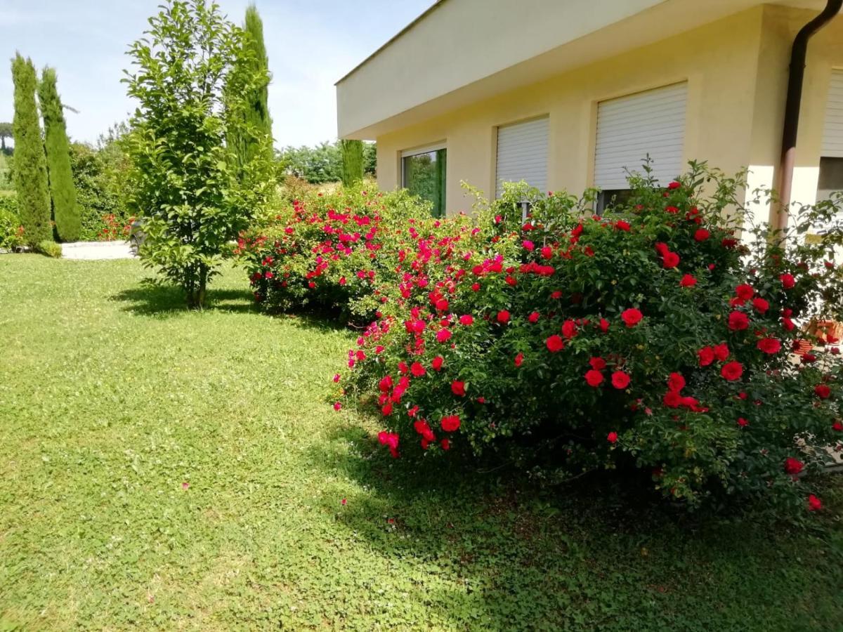 B&B Terra Del Sole Valmontone Dış mekan fotoğraf