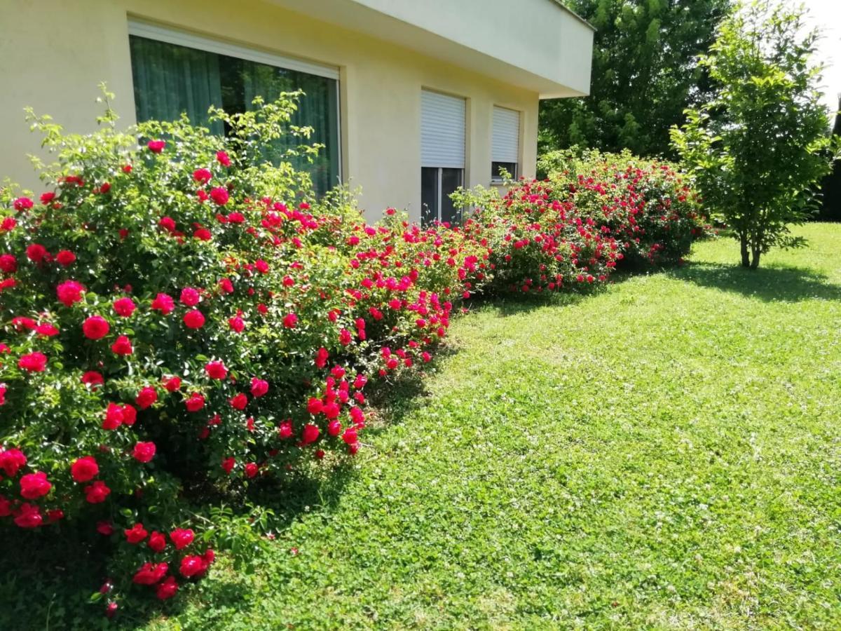 B&B Terra Del Sole Valmontone Dış mekan fotoğraf